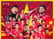 东南亚球队战绩出色，亚冠战场上势如破竹的简单介绍